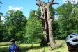 Ogólnopolski Zlot „Rowerem przez Rogaliński Park Krajobrazowy"