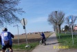 Żwawa sobota.