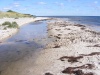 Bornholm & Żwawe Dziadki